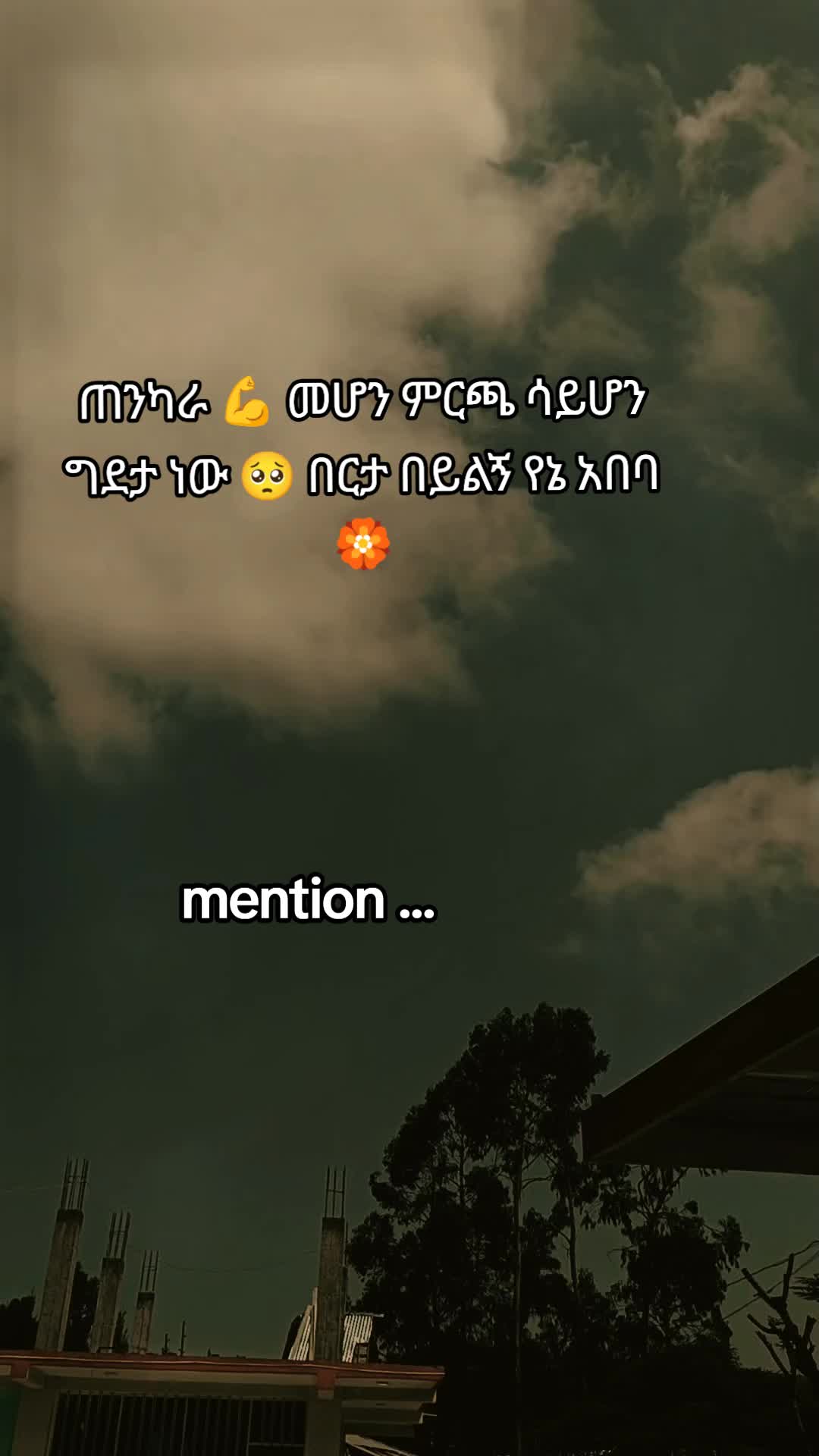 @โจ TEMU Quotes