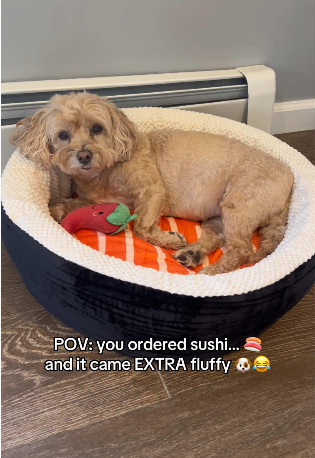 @ChloeCaboodleDoodle