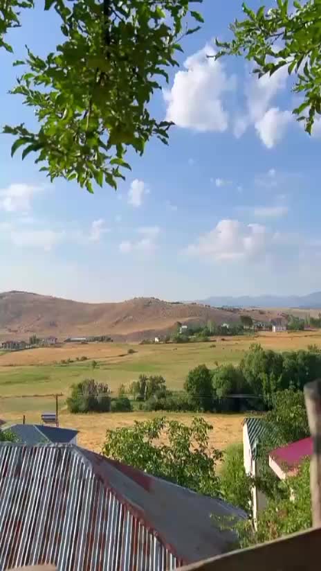 @rojin4747