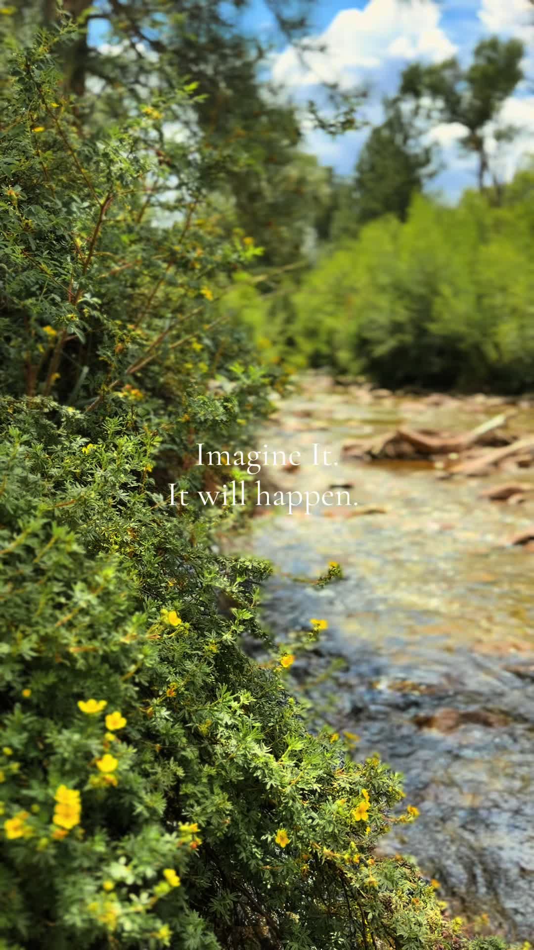@TravelChaffeeCounty