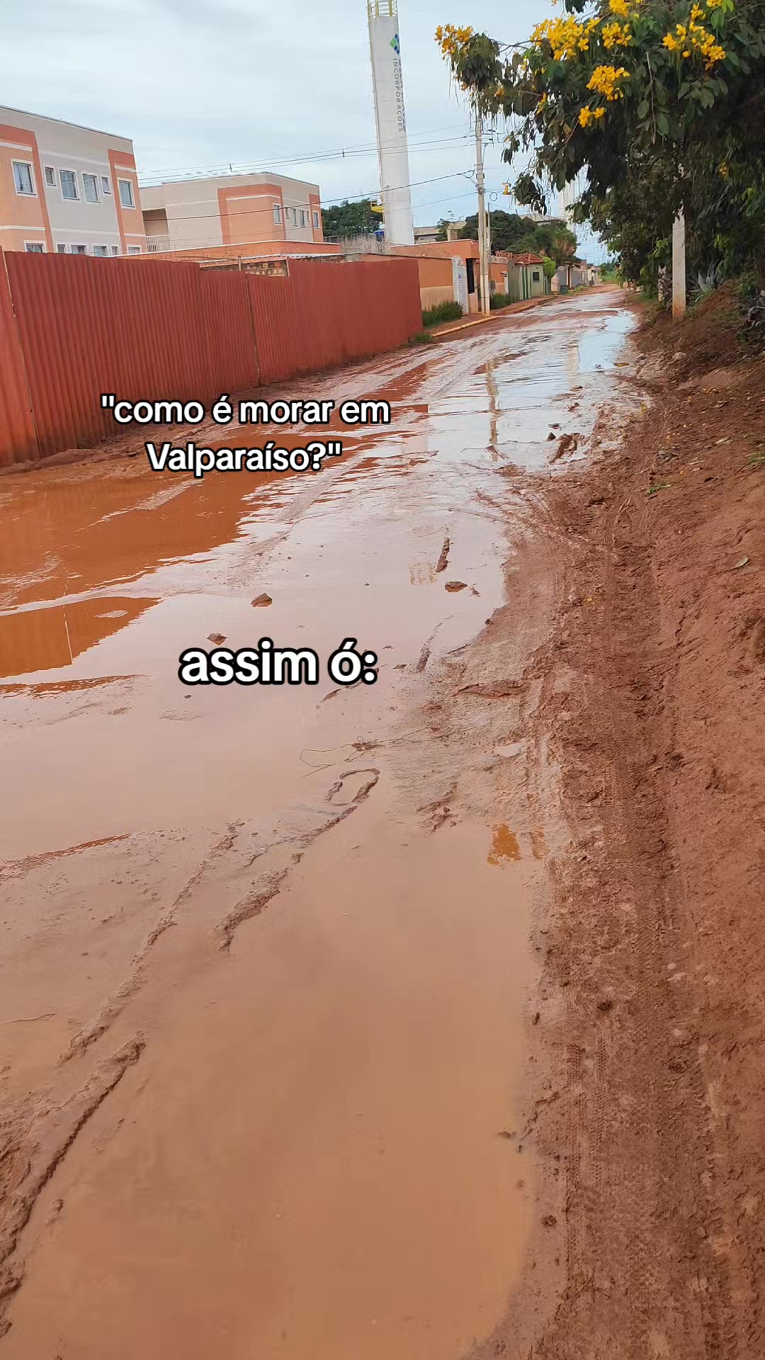 @Henry 🇧🇷