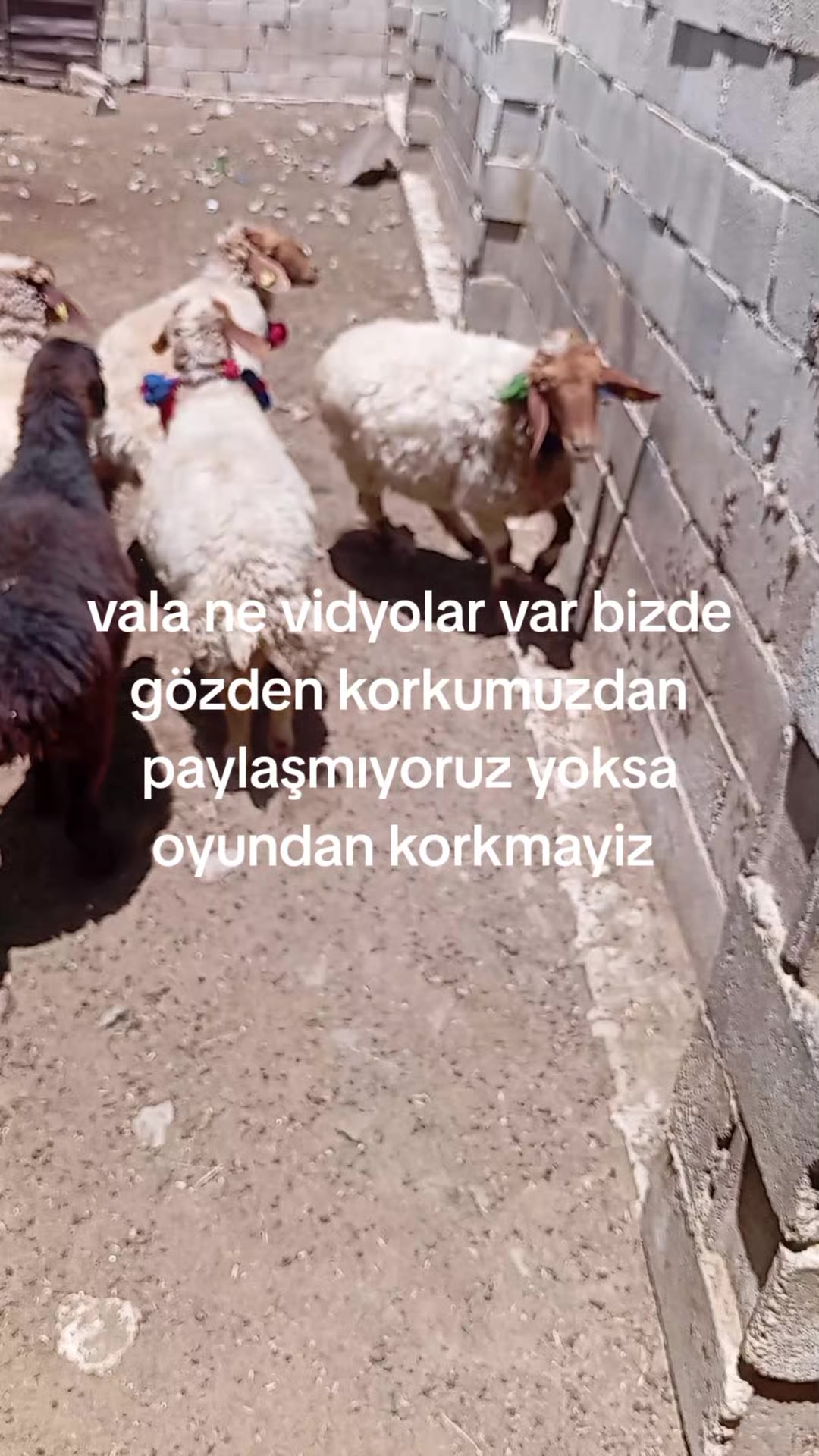 @"Enes_bdk