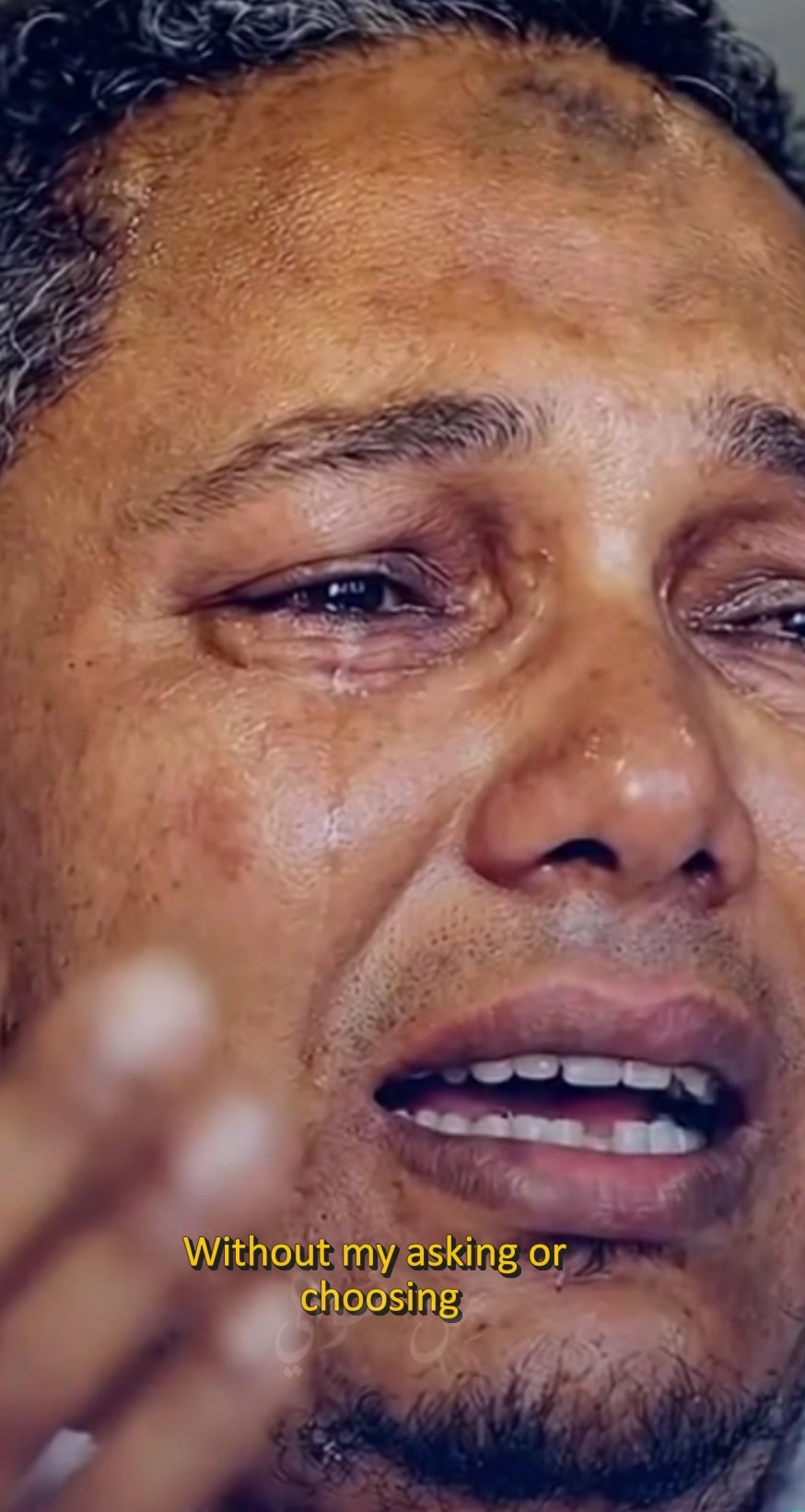 @Mohamed Tarek - محمد طارق