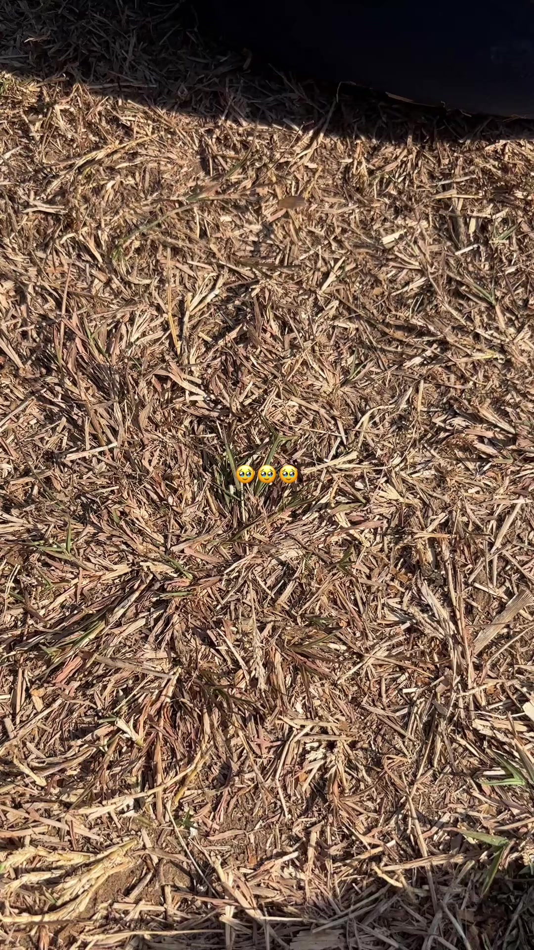 @່່່່່