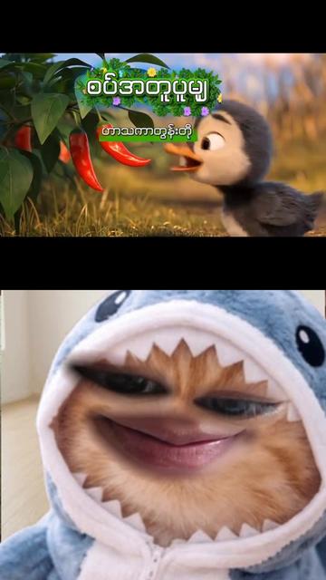 @happy đżđťđŚ