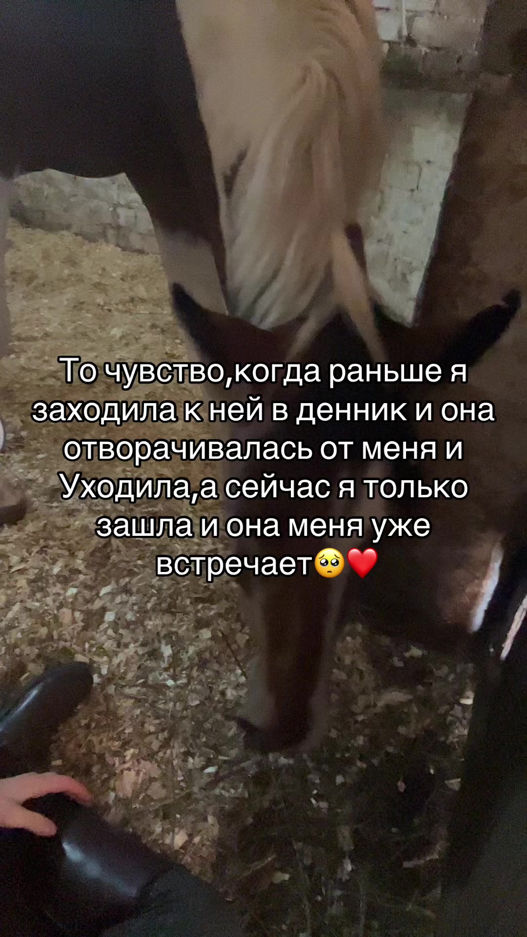 @Ли🐴