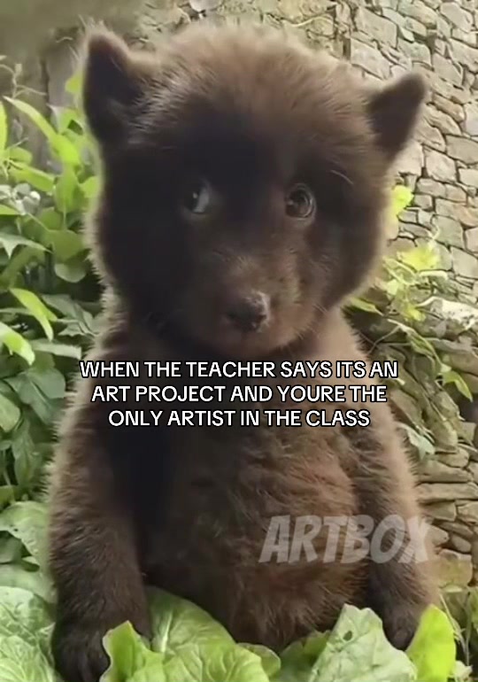 @ArtBoxTV