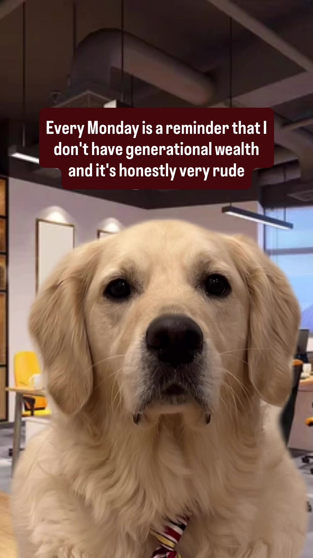 @Rigatoni The Golden