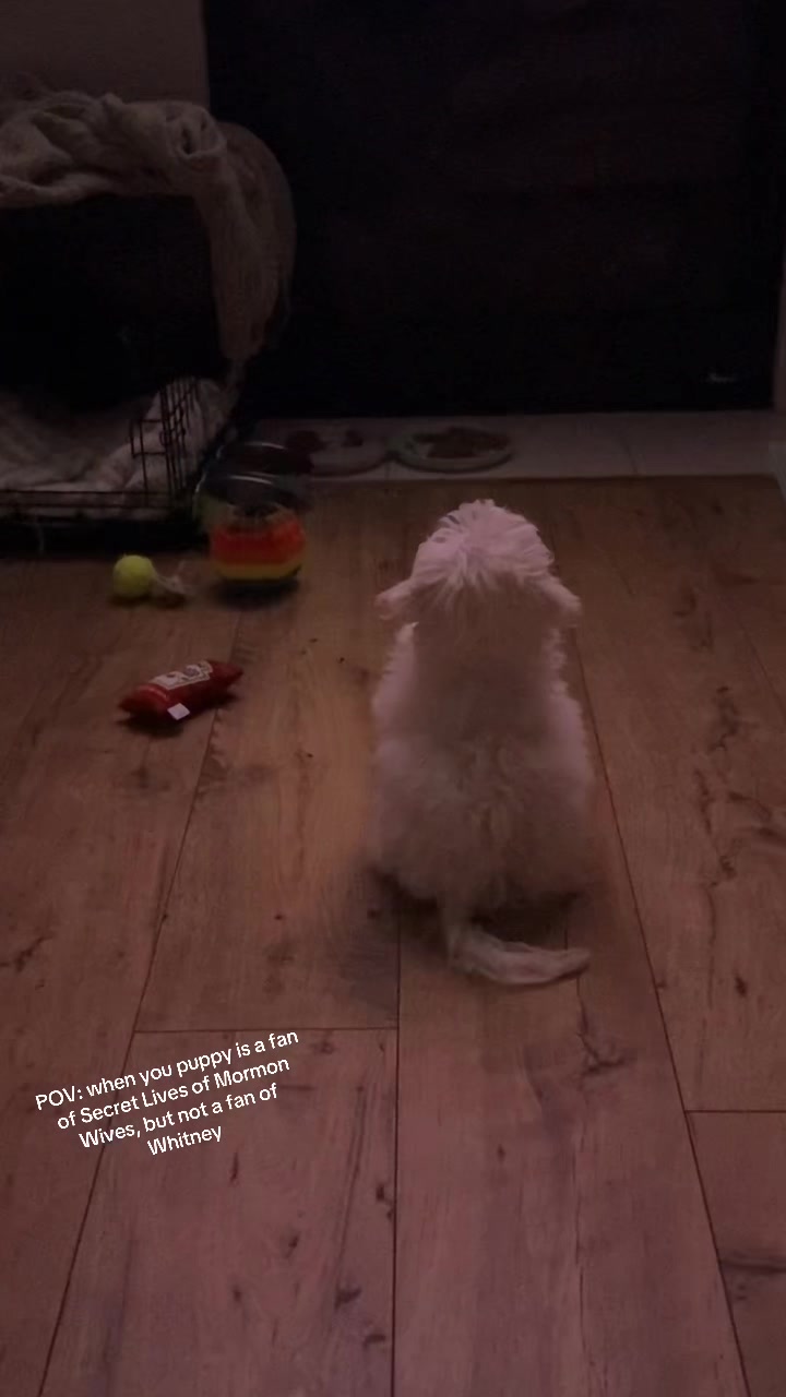 @ItsJustTony