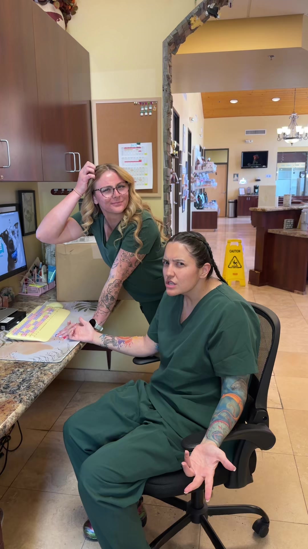 @Dreaming Summit Animal Hosp