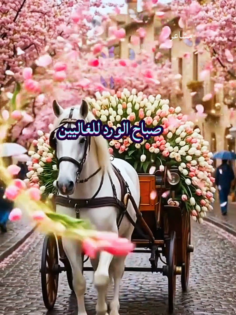 @مشاعر