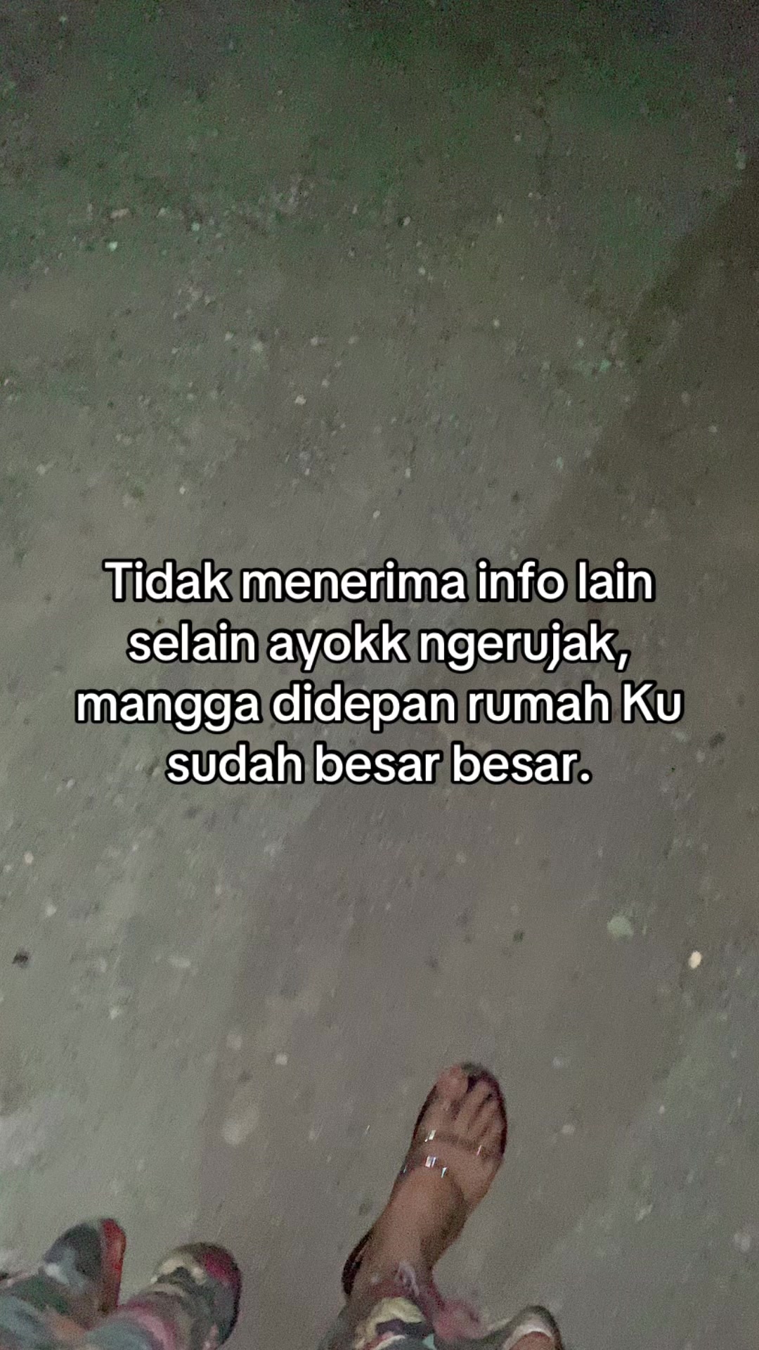 @mumu23.1