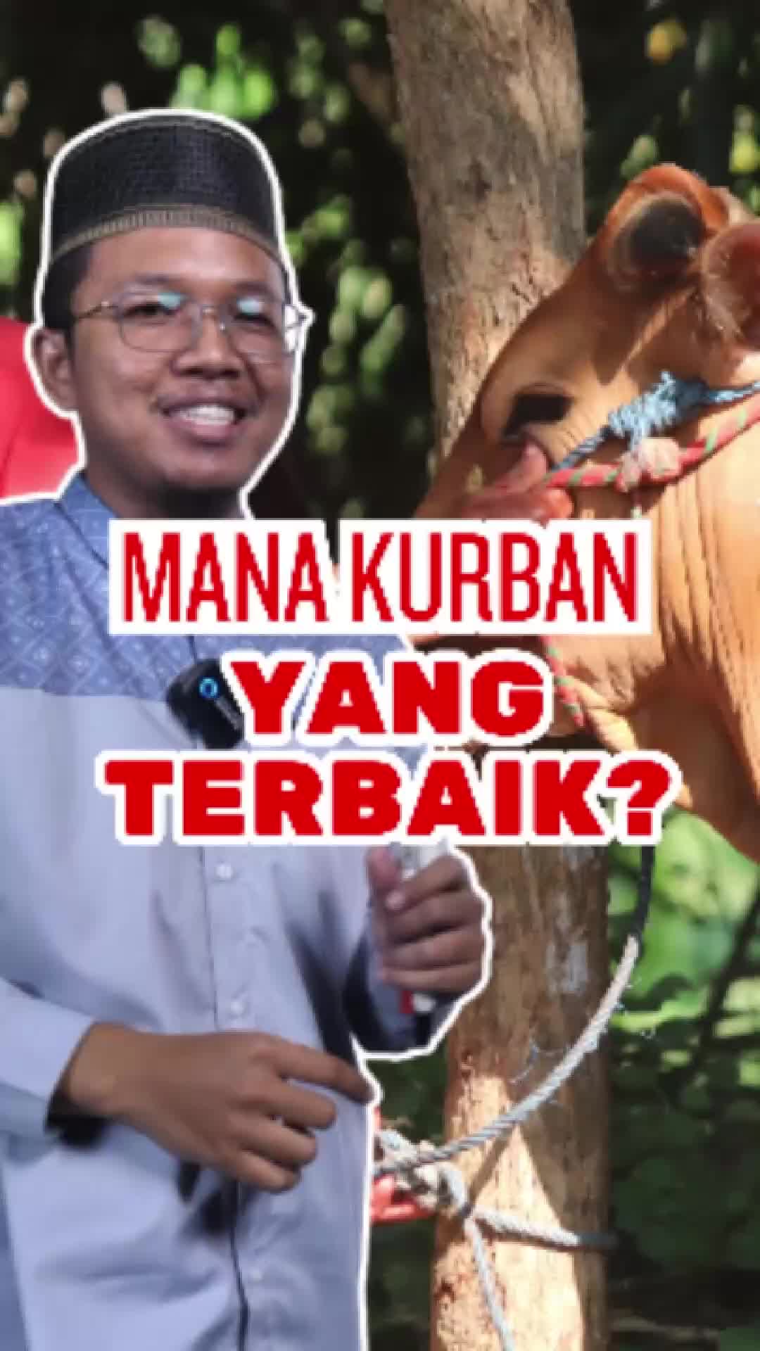 @almahbaroh