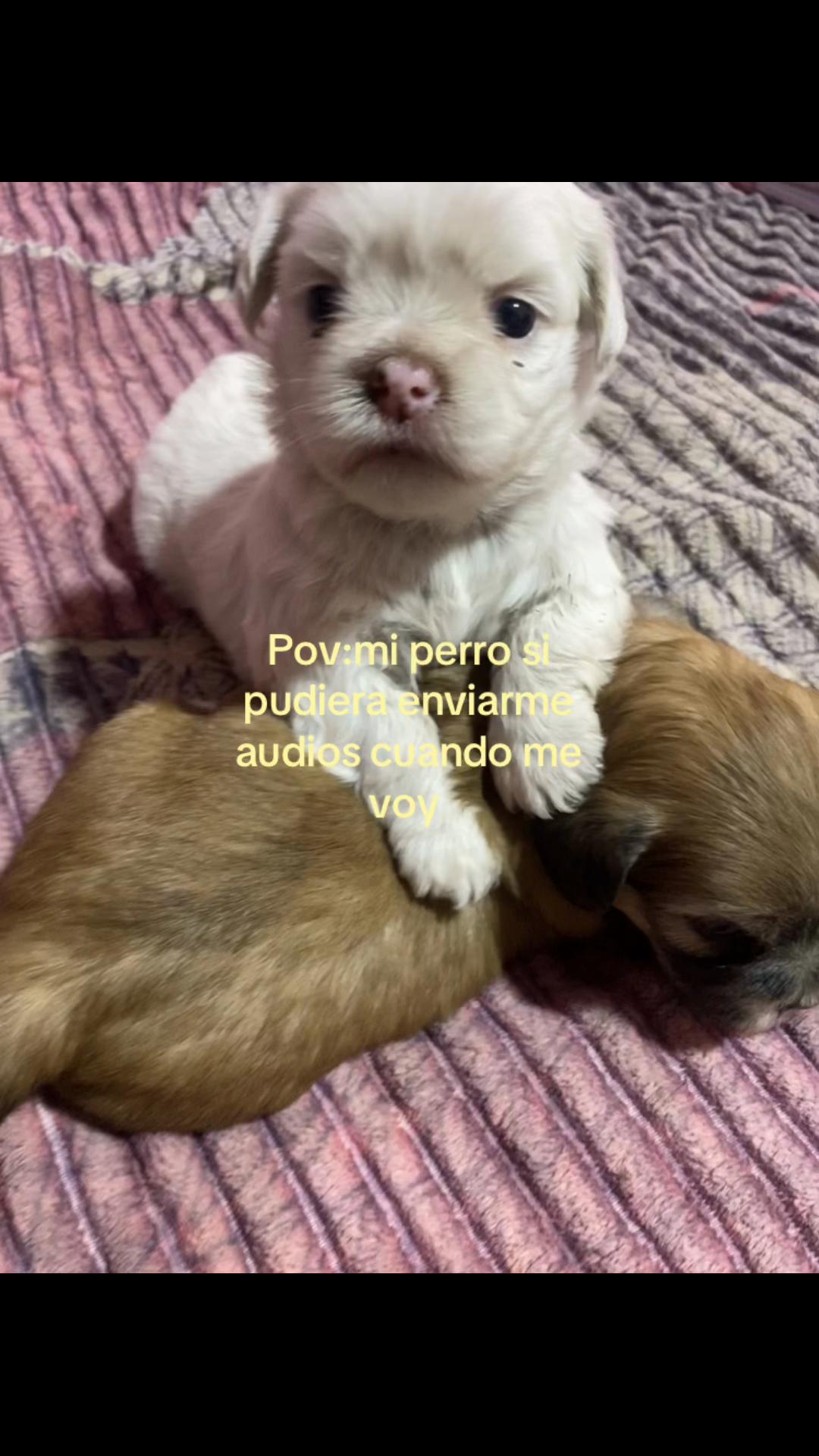 @Karol Leon