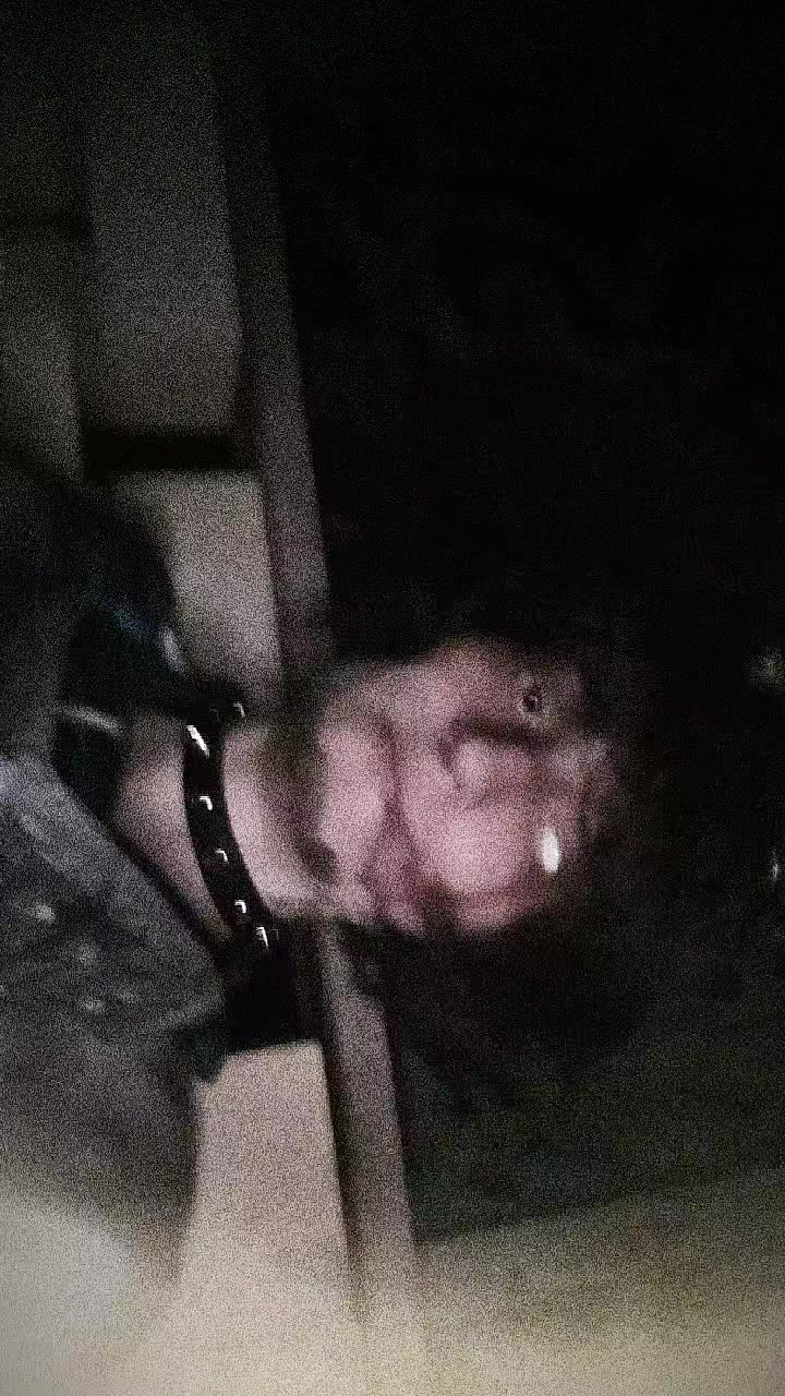 @⦻ 𝐼𝑟𝑖𝑠⦻~