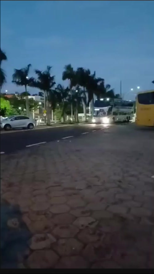 @Denise malikoski busológa sc
