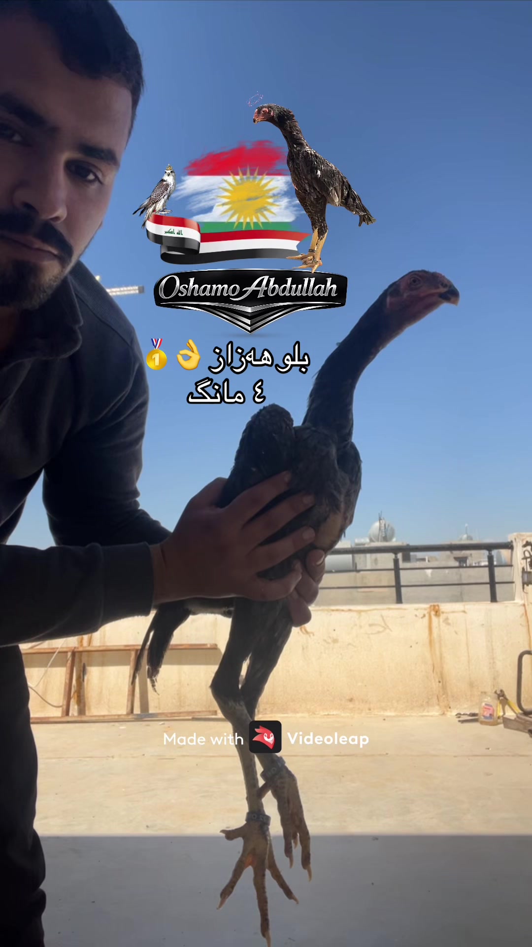 @ئۆشامۆ عبدالله🥇