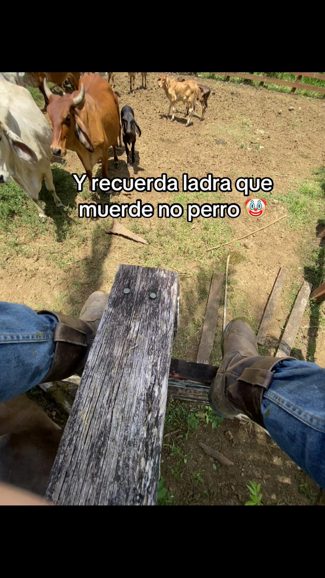 @Ferdin Gabriel