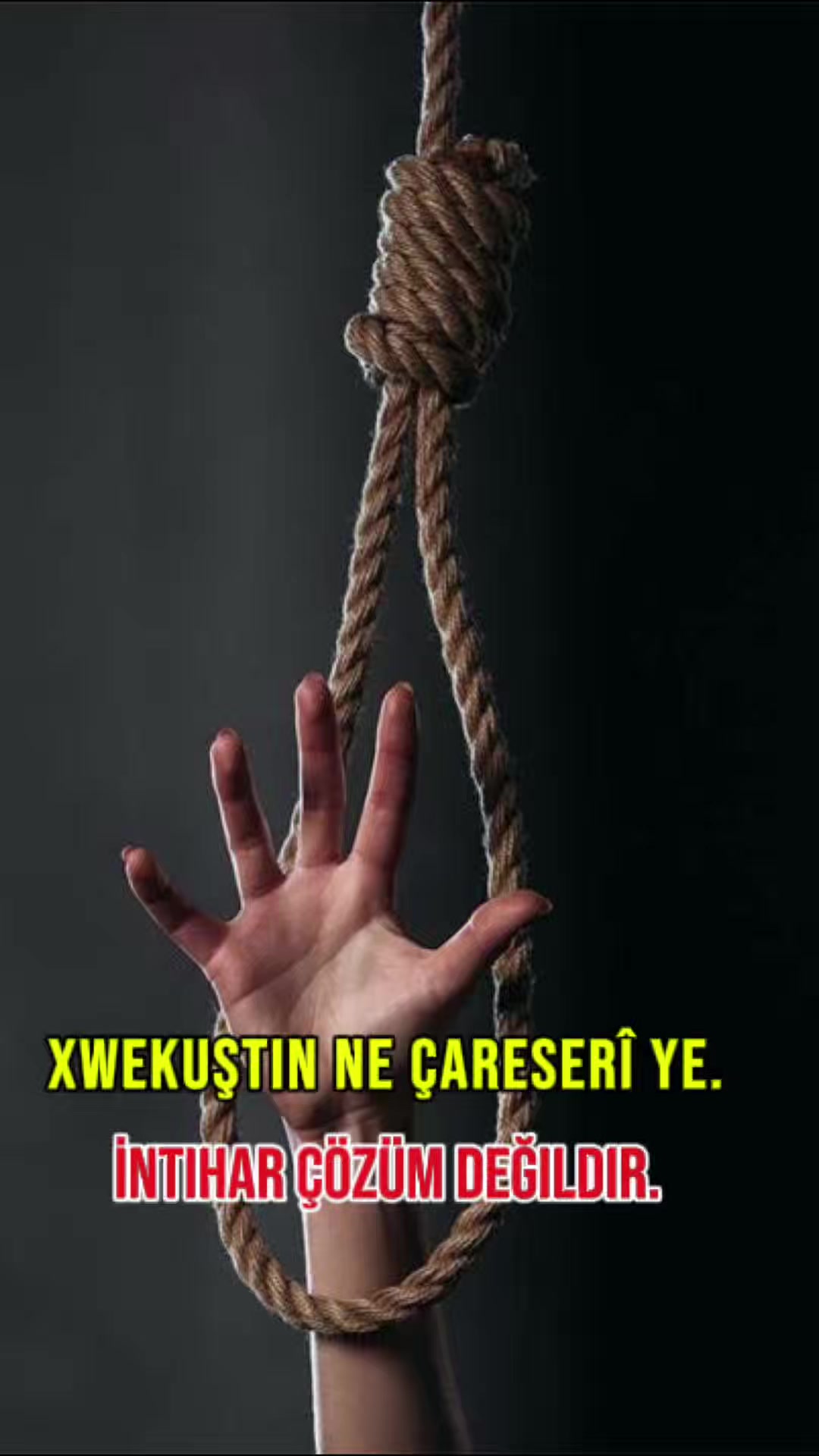 @Mehmet BUDAK