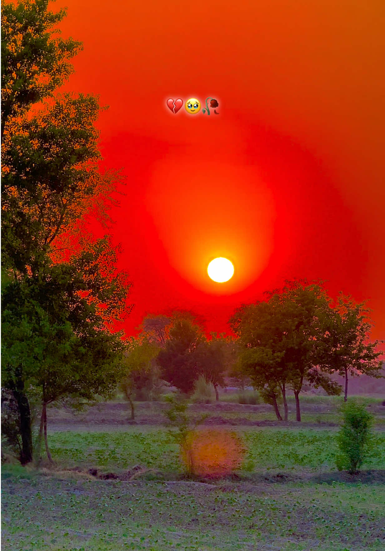 @🌾میں۔ میرا۔ پنڈ🎋
