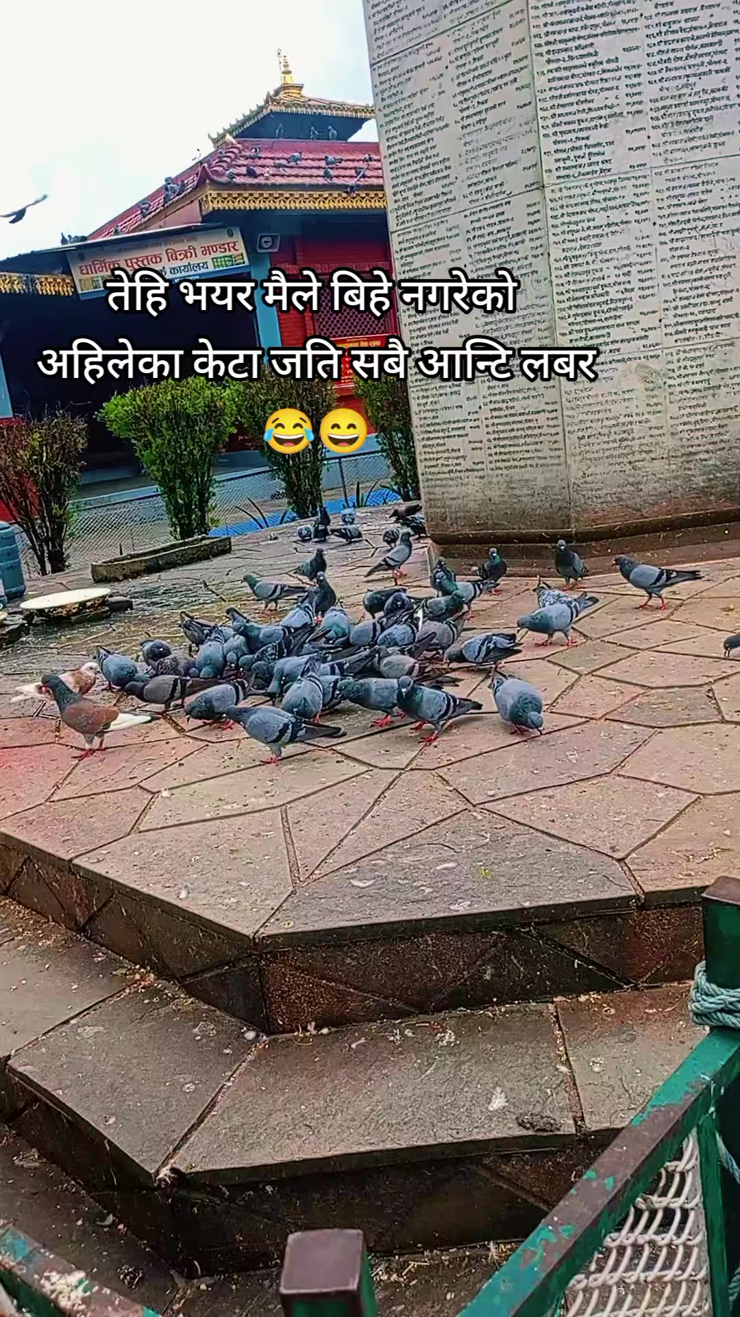 @laxmi gaire🌸