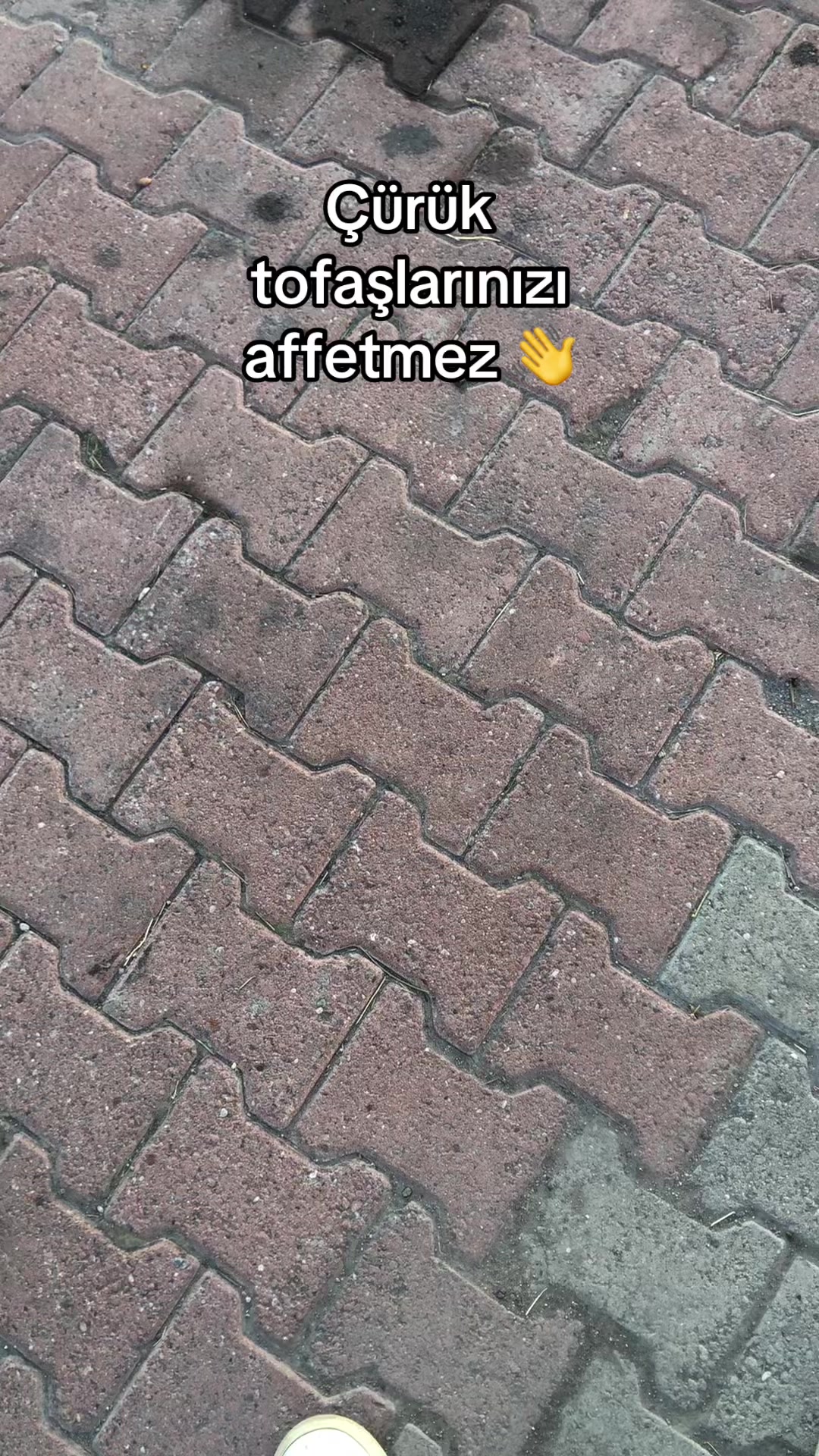 @Hasan