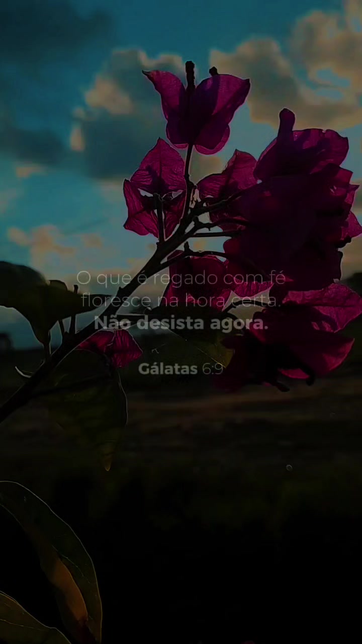 @Sonia cordeiro