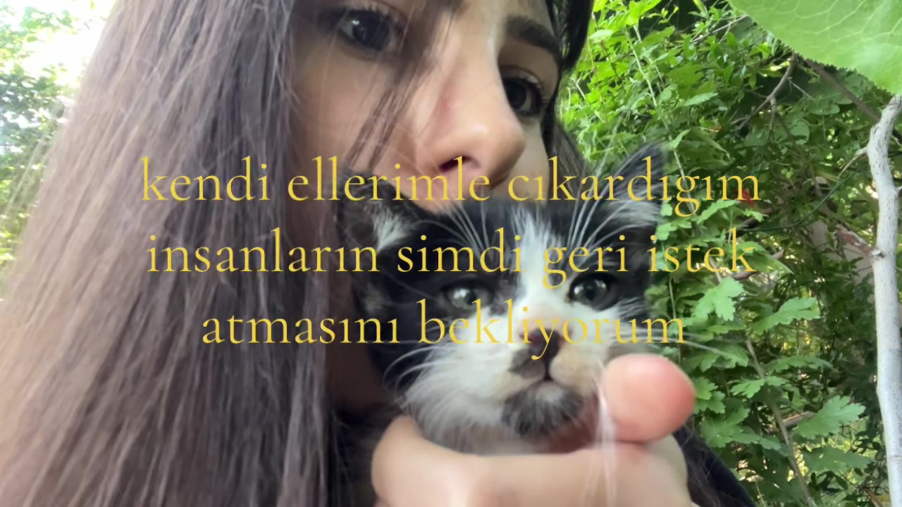 @꩜ï 🌱