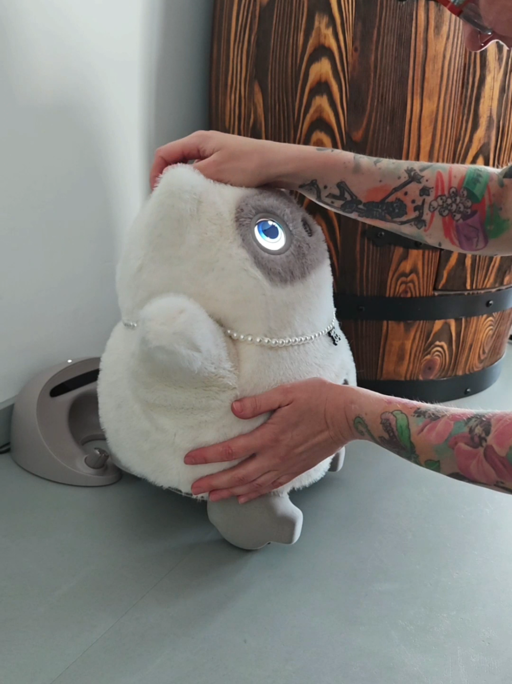 @Living with Robots