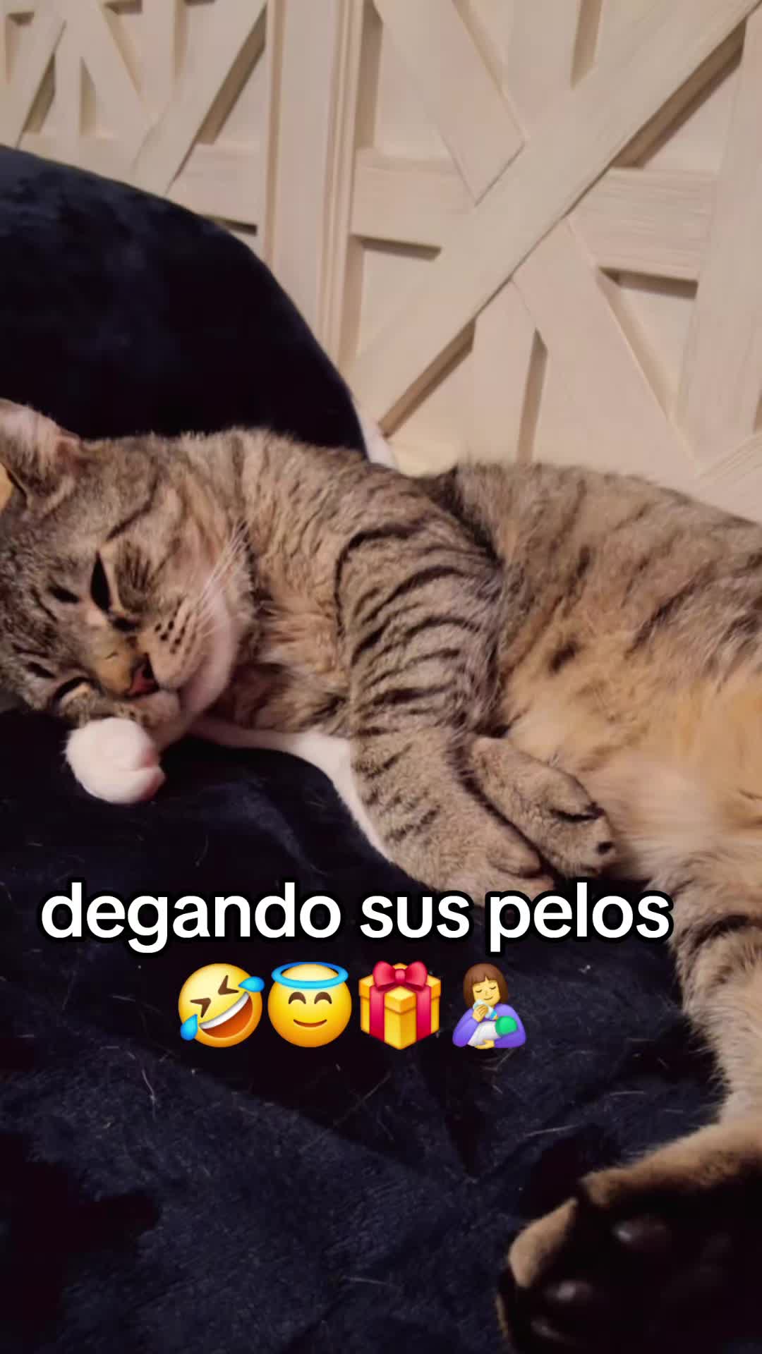 @Mamagatera20