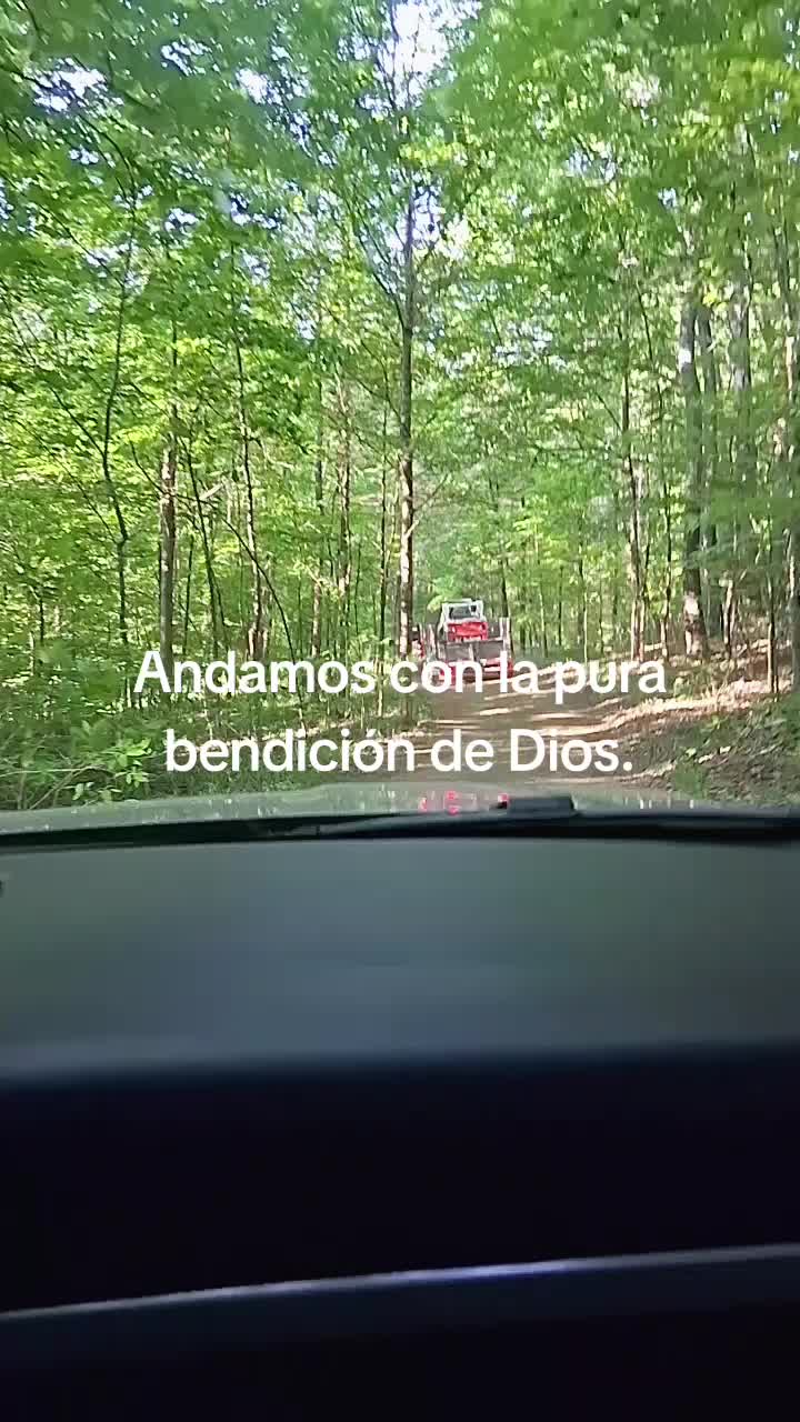 @Alvino