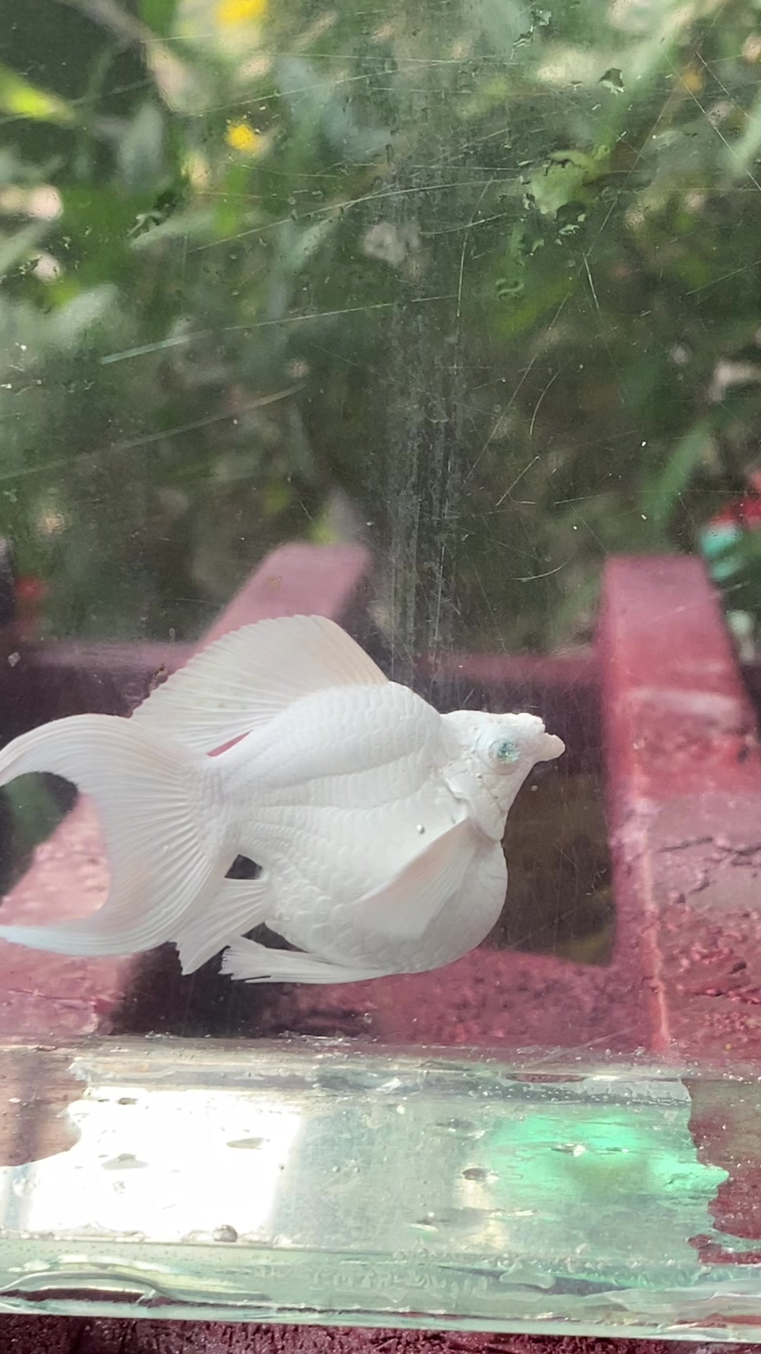 @Tỉnh Molly AG