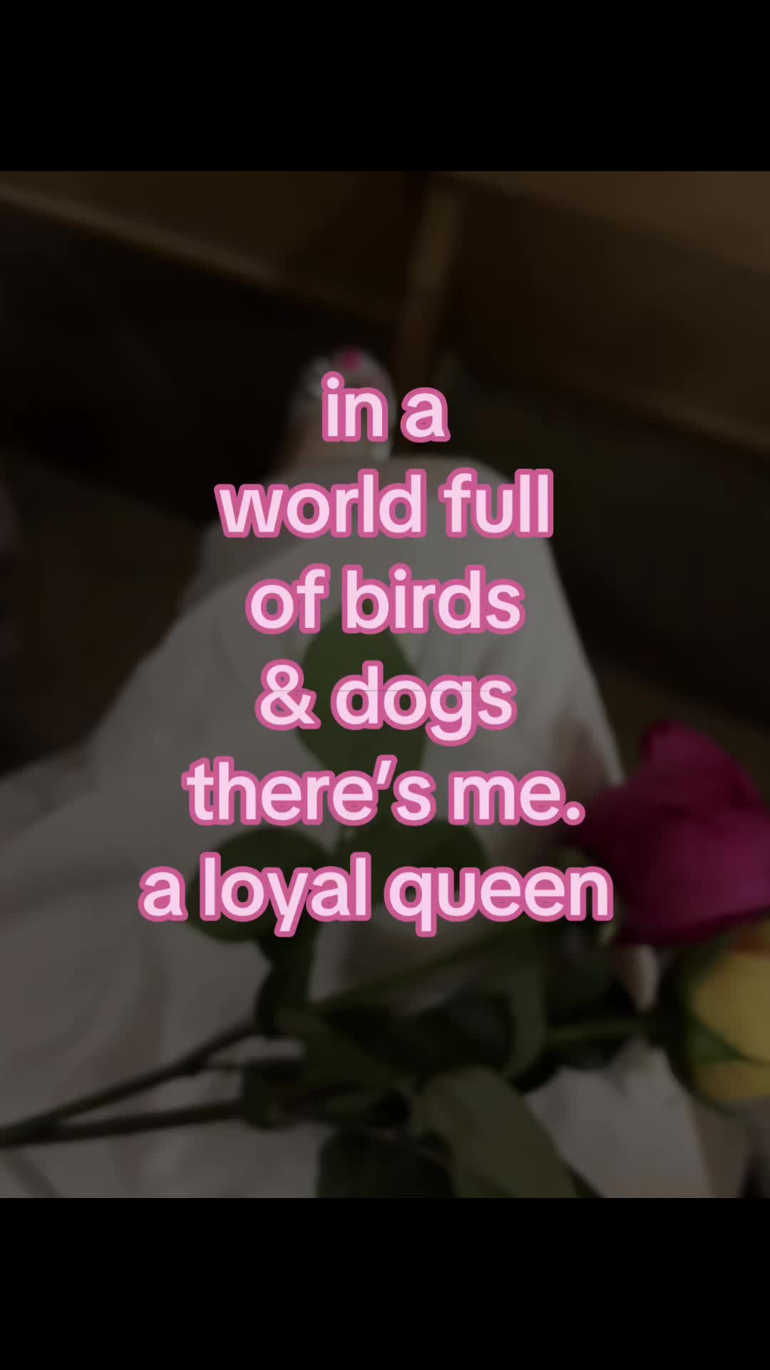 @reddkillzz