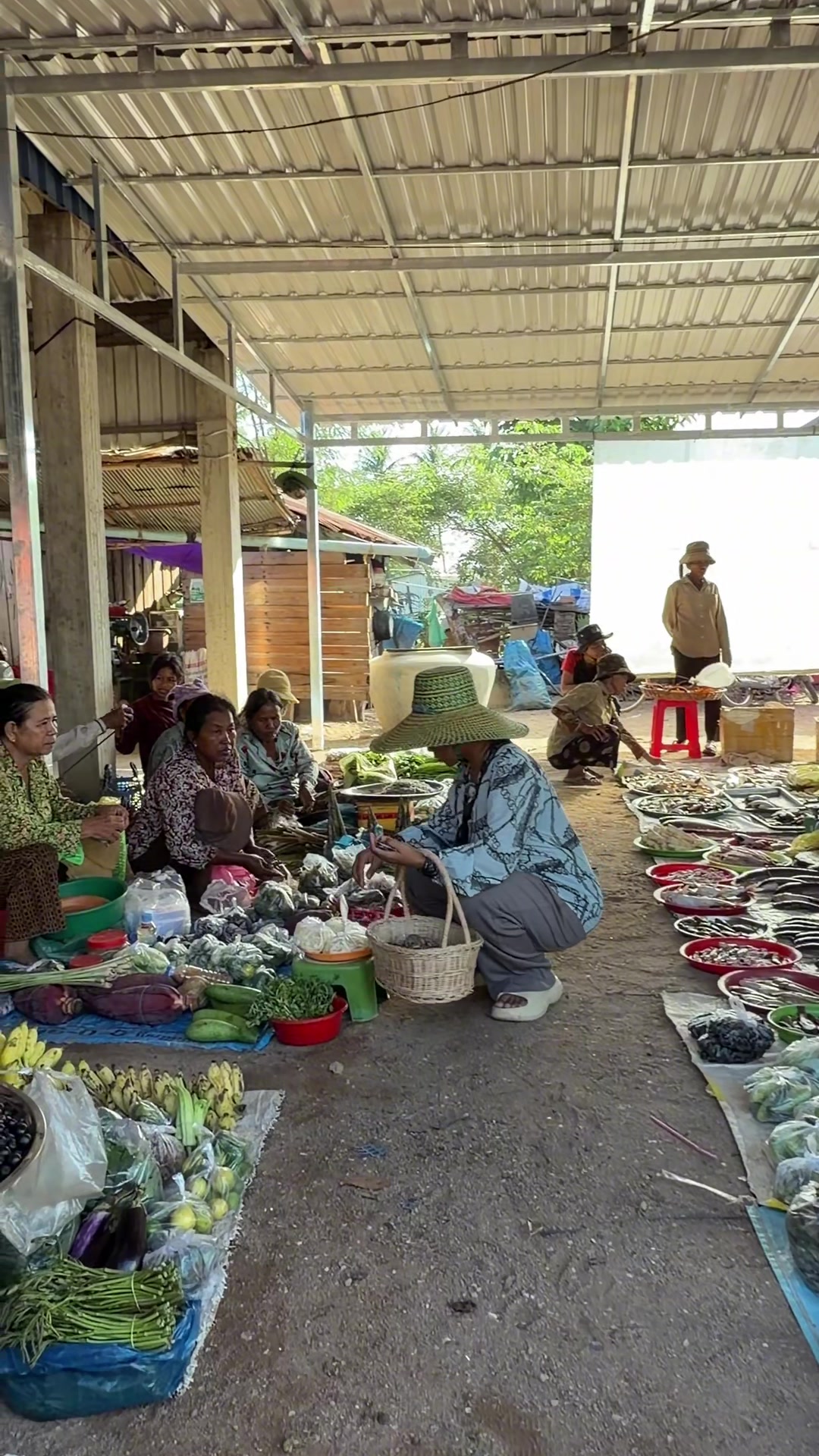 @កូនចាបមាស