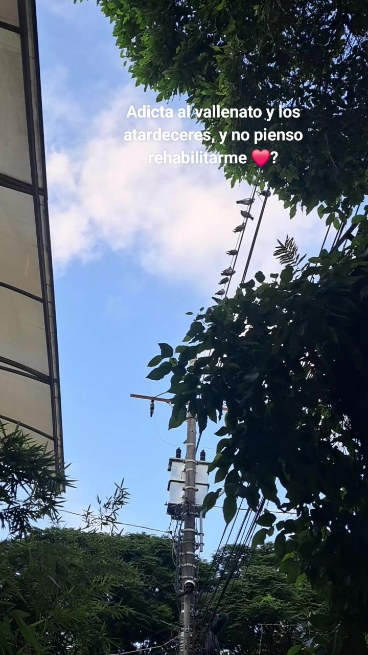 @manequide 871