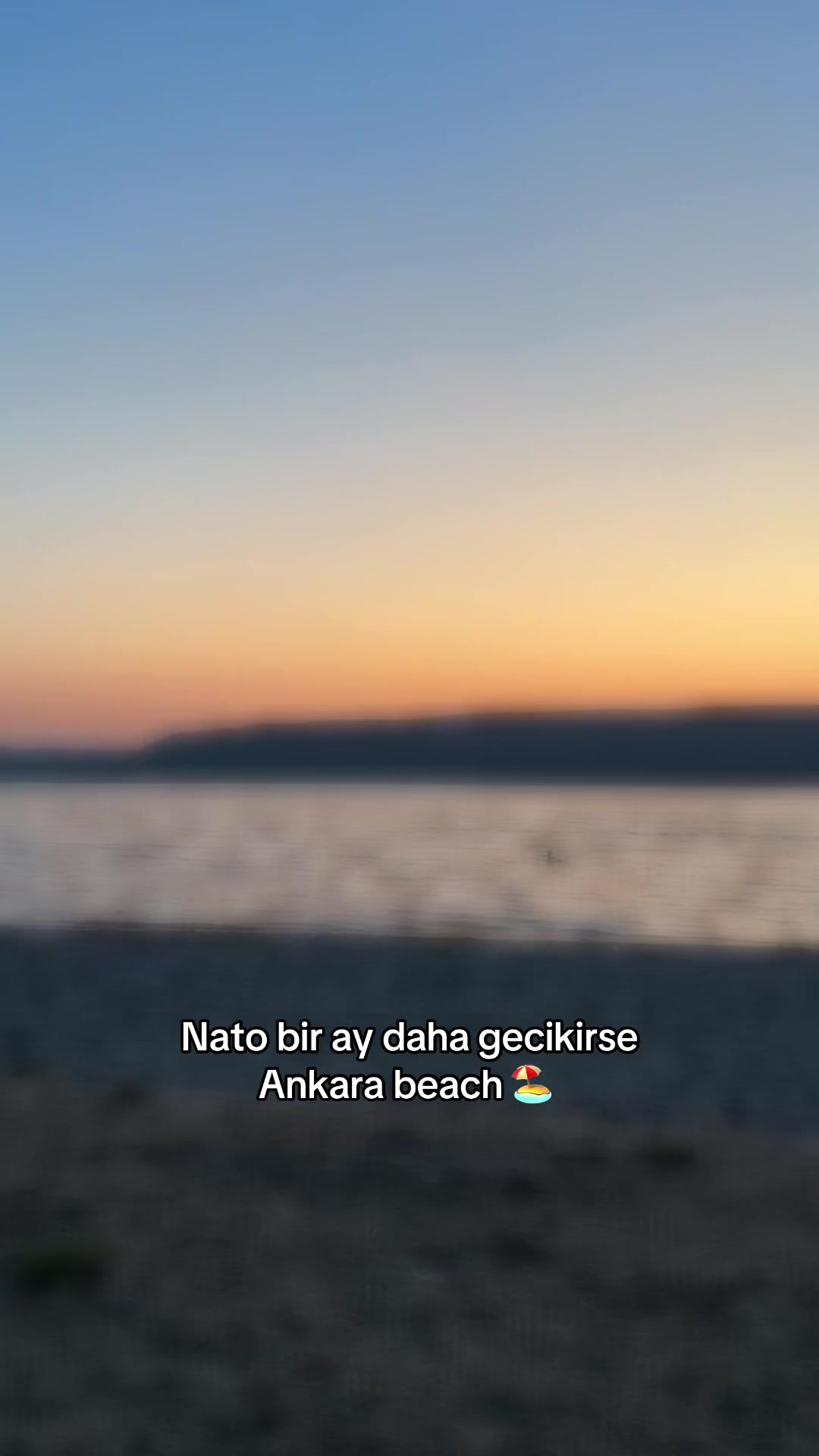 @bertan