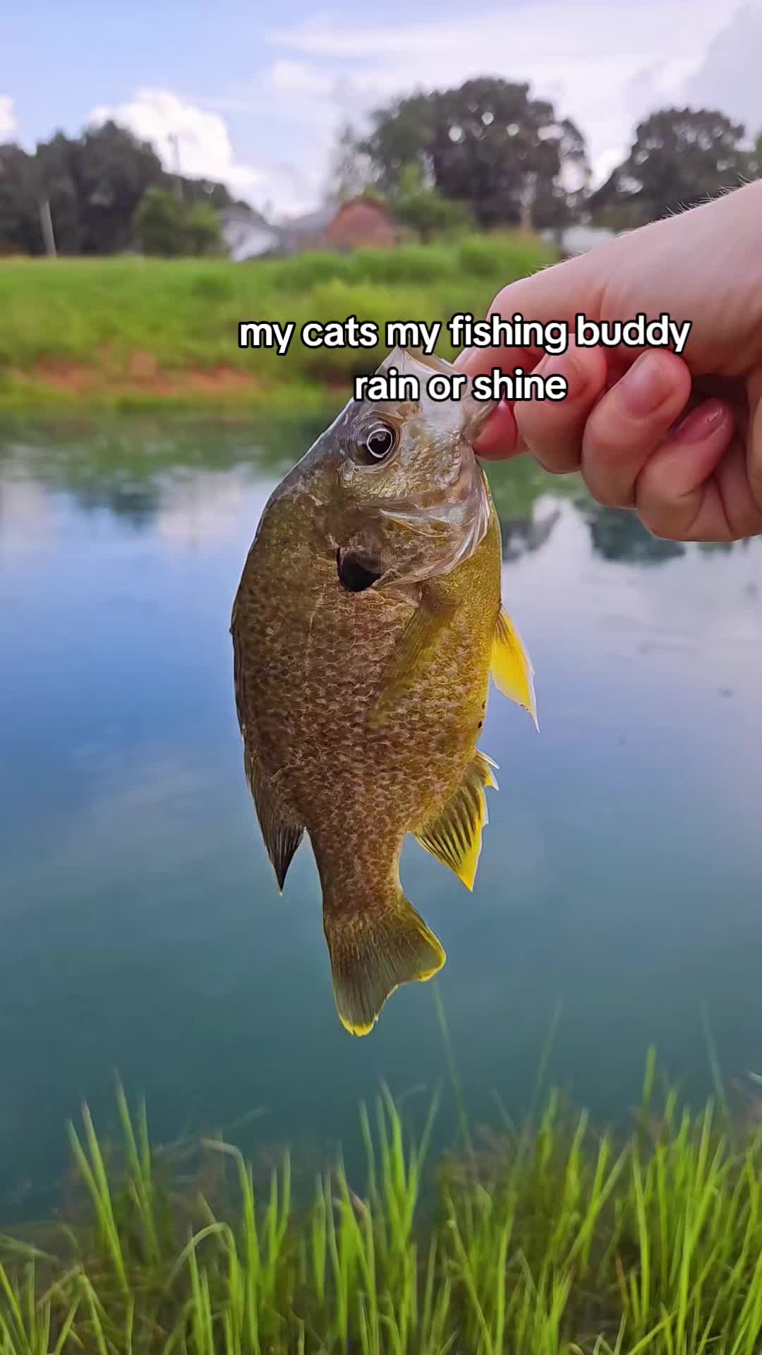 @Brandi