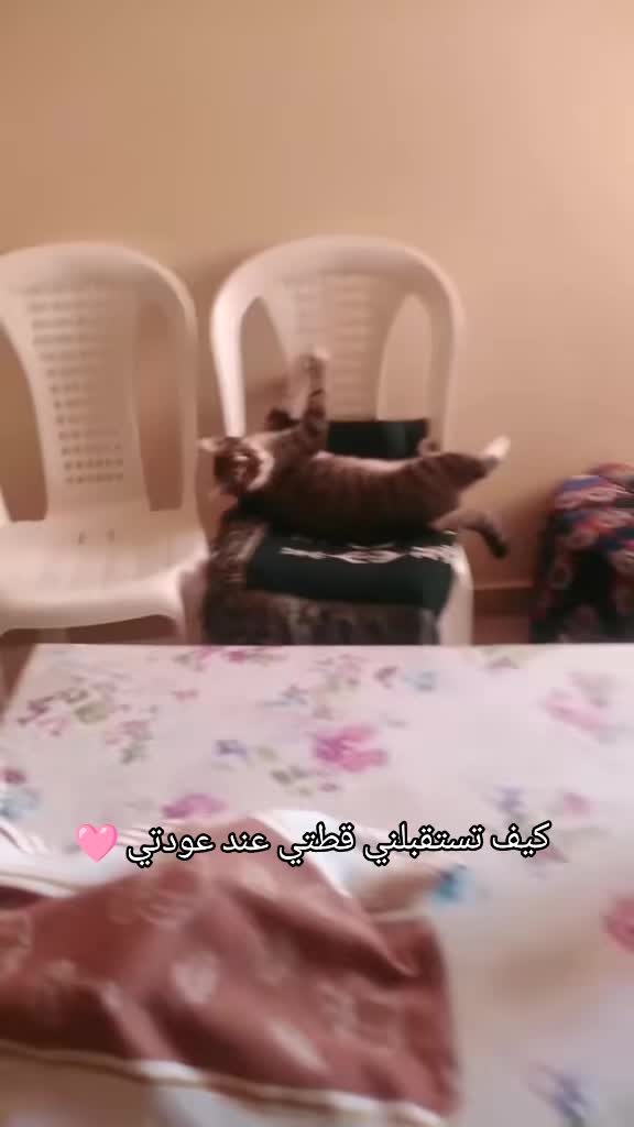 @عاشقة أبيها