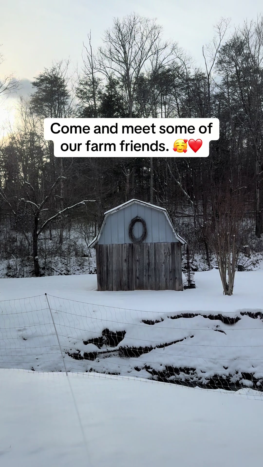 @Enchanted Hollow Homestead ✨🌲