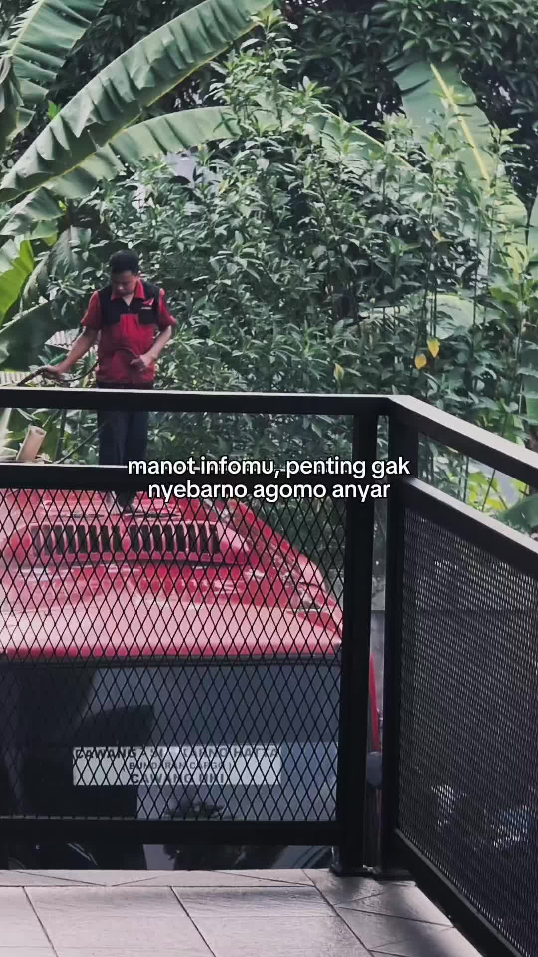 @pembasmi kecoa terbang