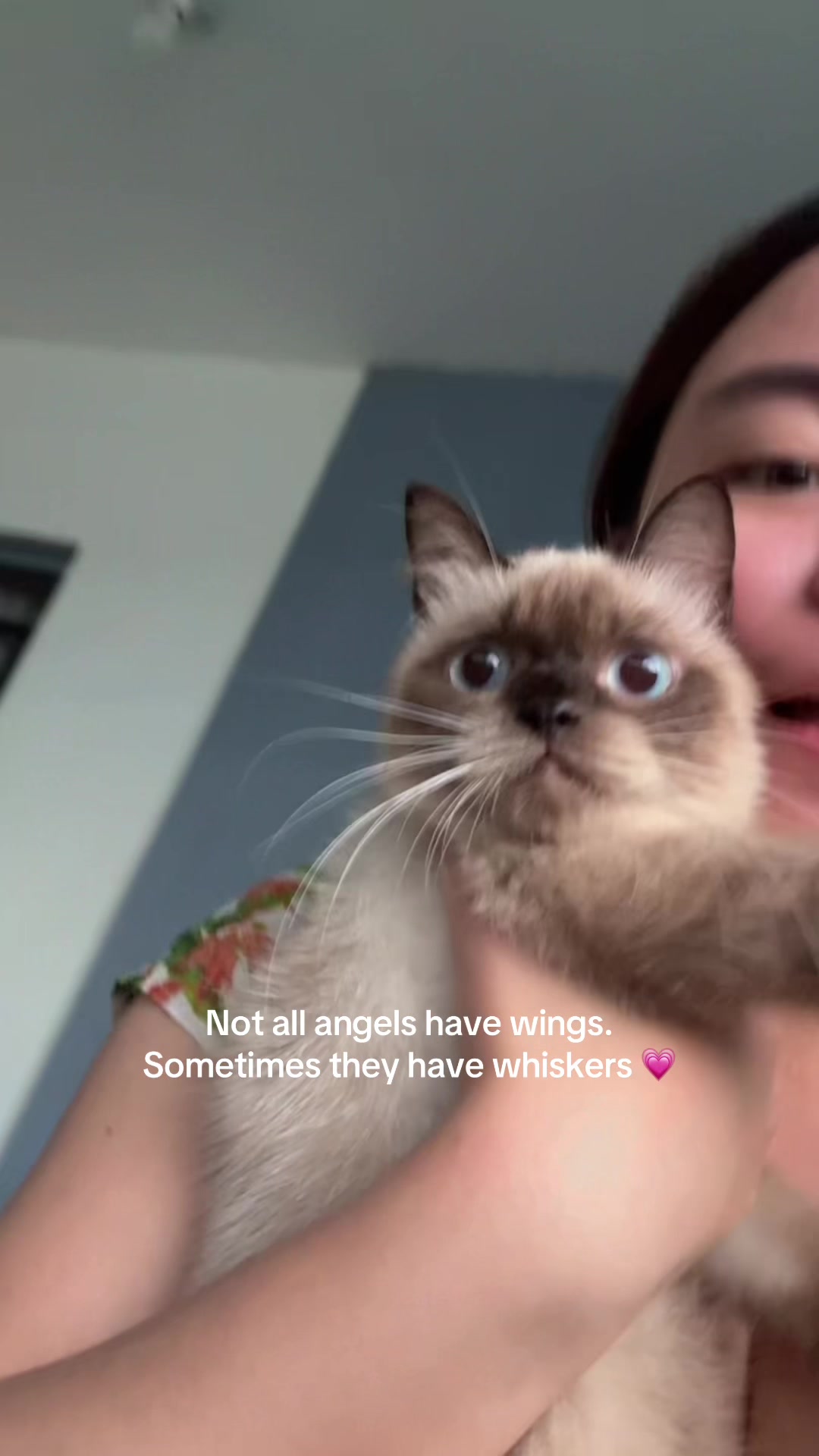 @_shrolives