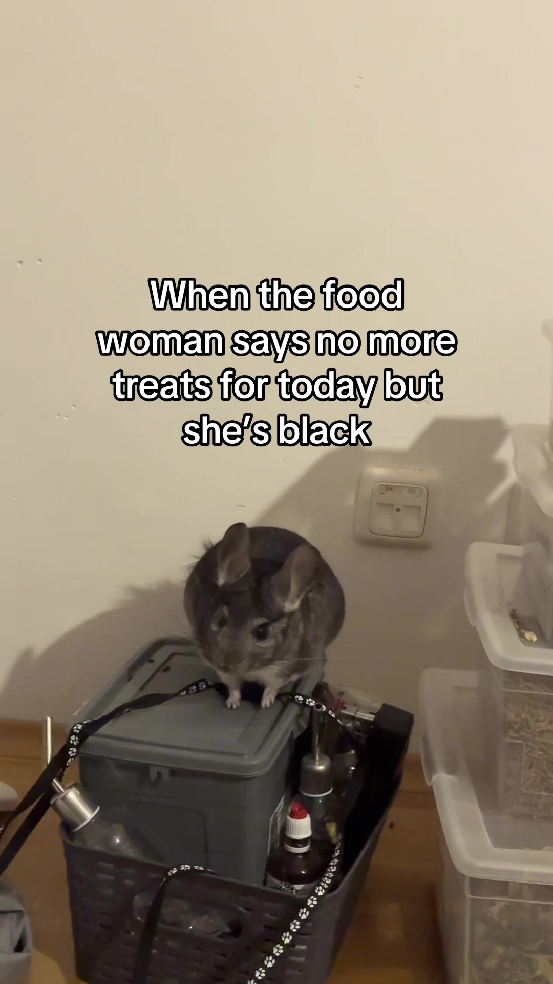 @BANDIT & STRIPE