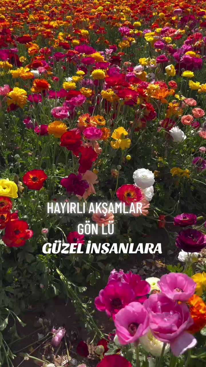 @Hasan Yılmaz