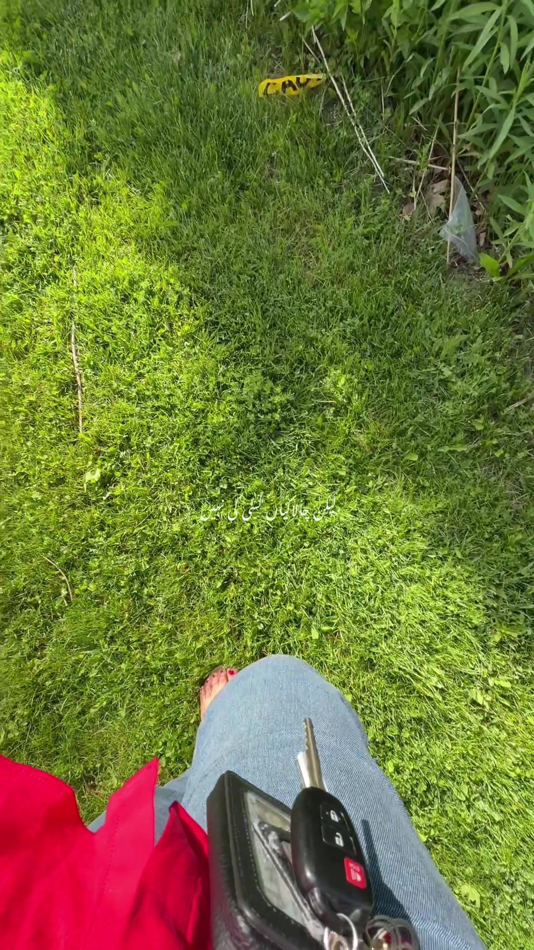 @Nature lover  🇨🇦