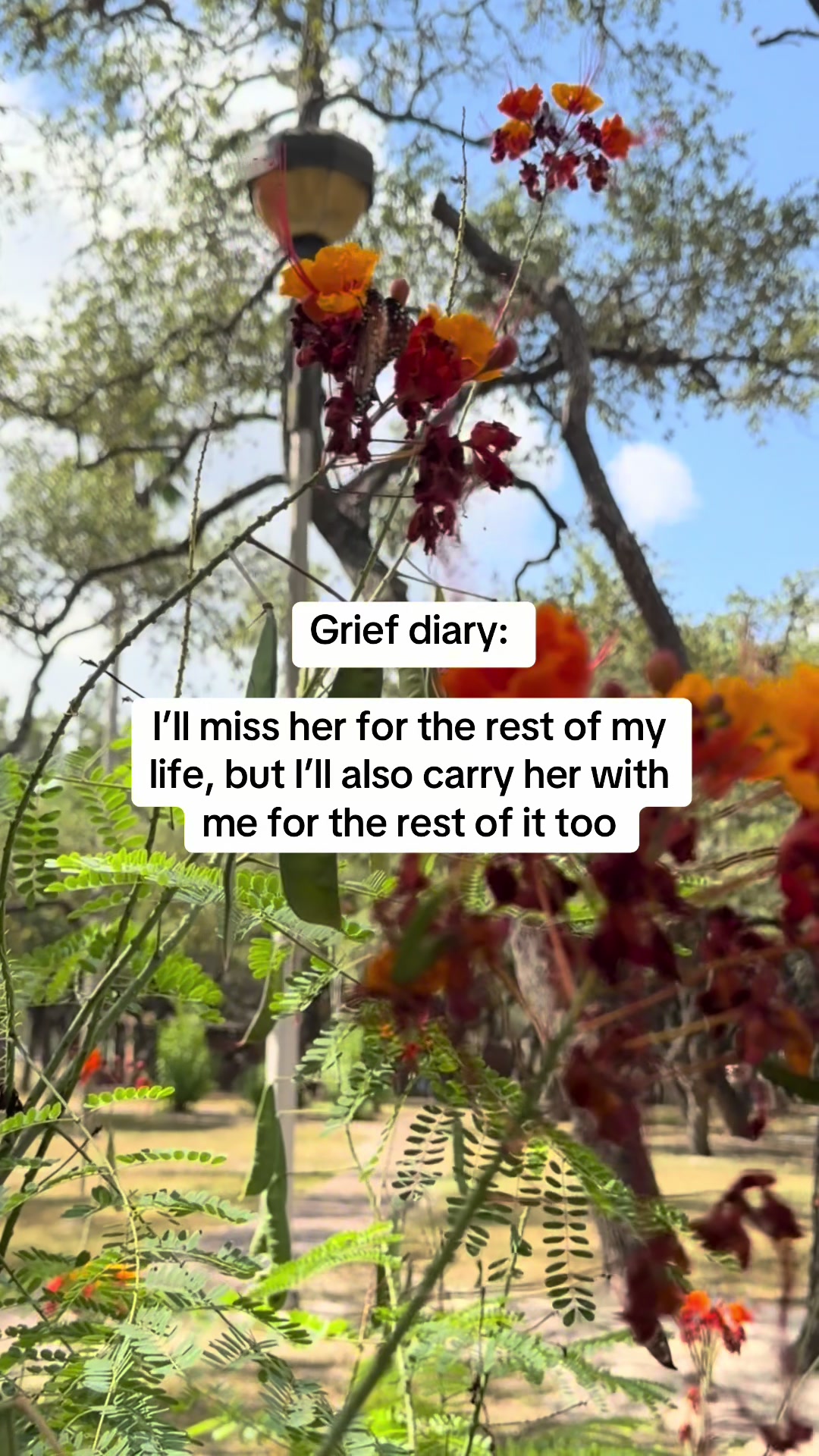 @Sending Butterflies Diary