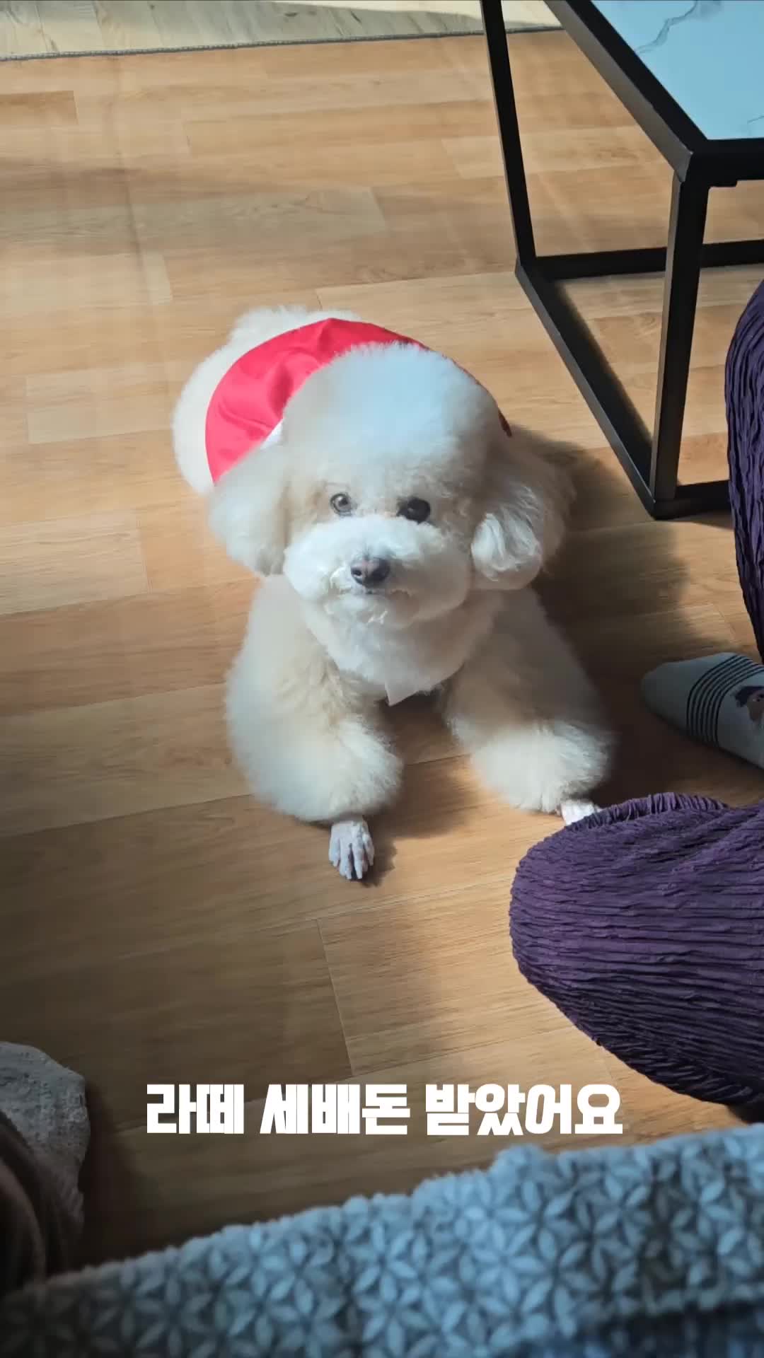 @예쁜라떼