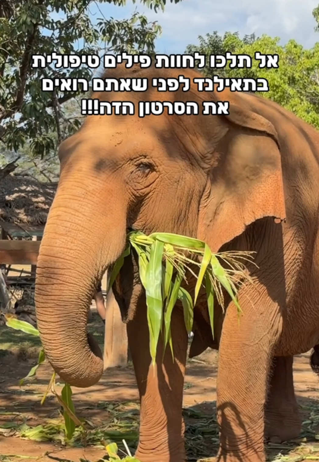 @Shir Shares שיר משתפת