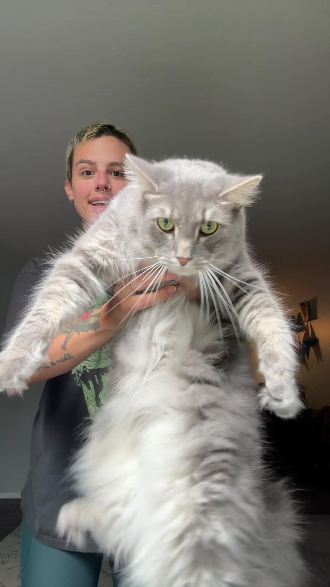 @scorchsteezy