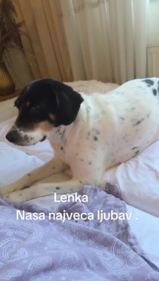 @Bogdanova cerka 🇷🇸🇷🇸🇷🇸