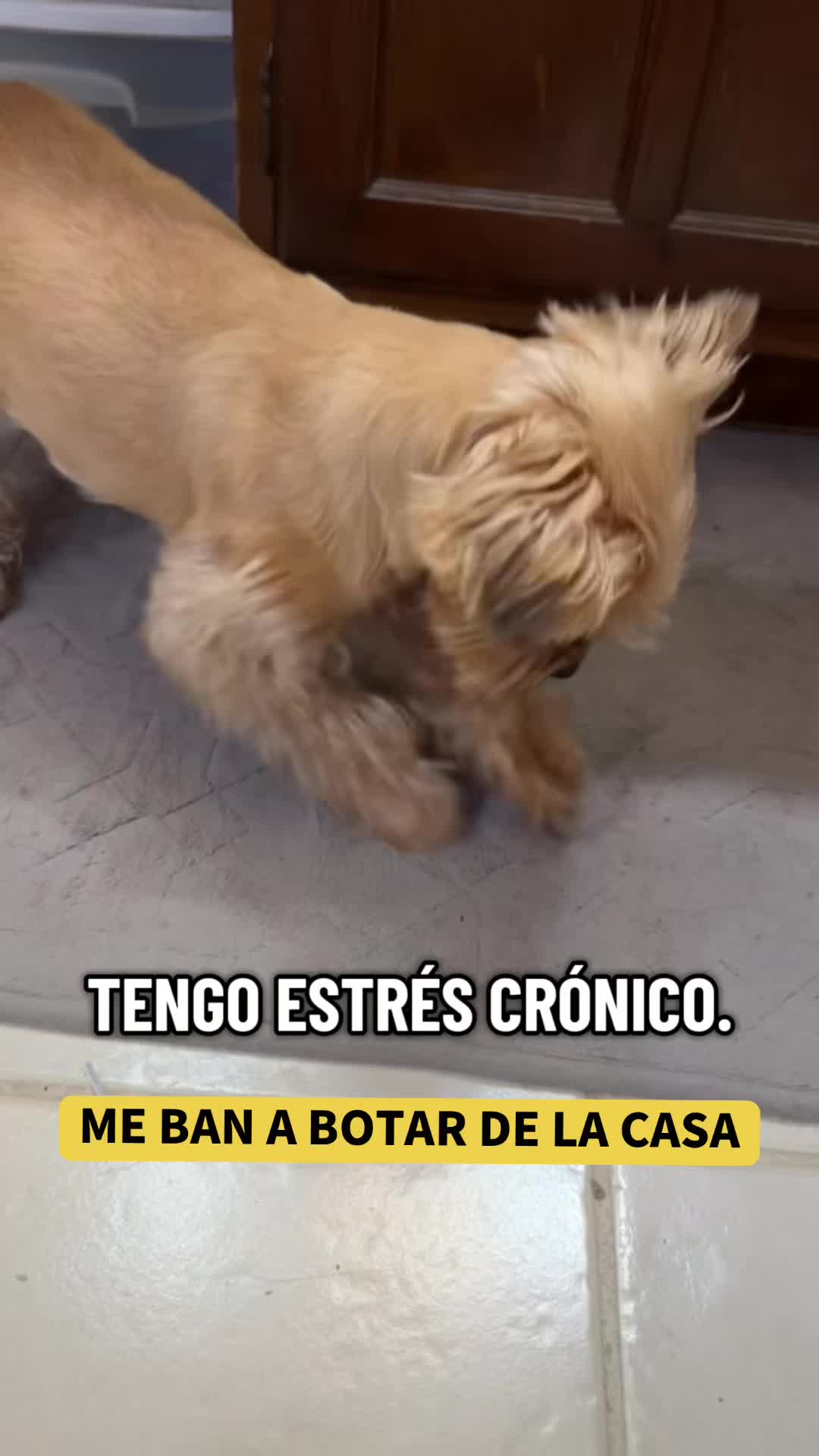 @mili_la_yorki